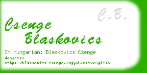 csenge blaskovics business card